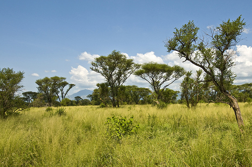 Mago National Park